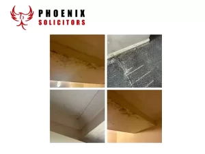 £15,000 Secured in Damages for Tenant Living with Mould and Damp Against Private Landlord