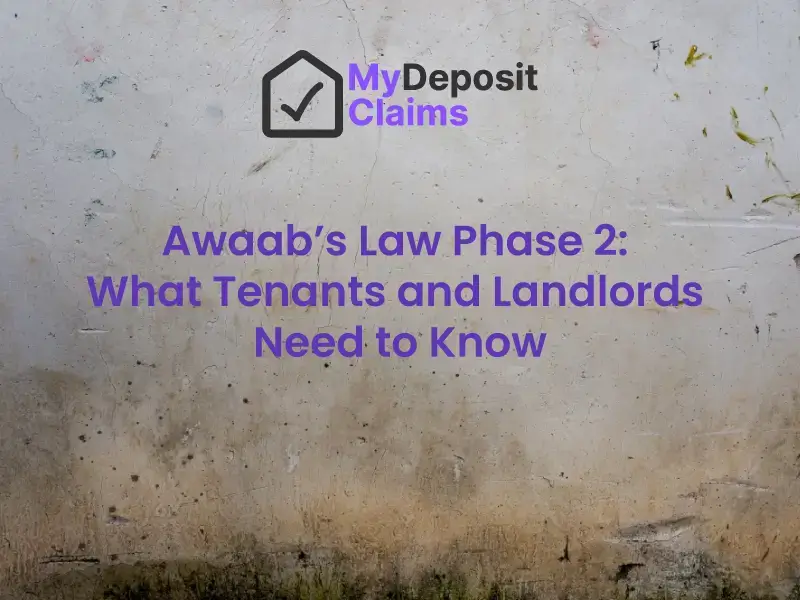 Awaab’s Law Phase 2 – What Tenants and Landlords Need to Know